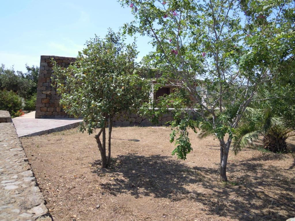 Residenza Degli Ulivi Pantelleria Island Esterno foto