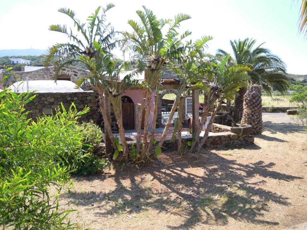 Residenza Degli Ulivi Pantelleria Island Camera foto